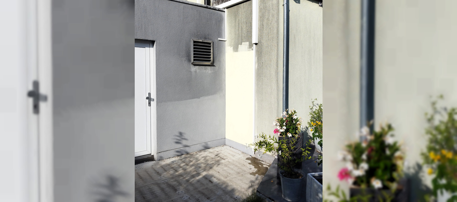 Neu in unserem Programm -Fassadenreinigung-